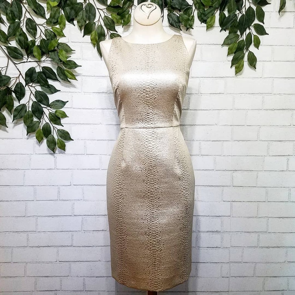 Metallic Champagne Sheath Dress